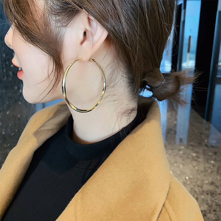 New Simple Ins Cold Wind Earrings Female