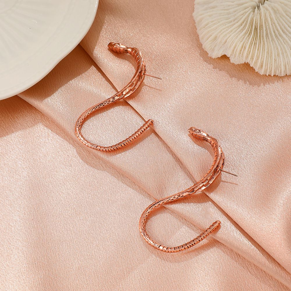 Antique Metal Snake-shaped Earrings In Europe And America
