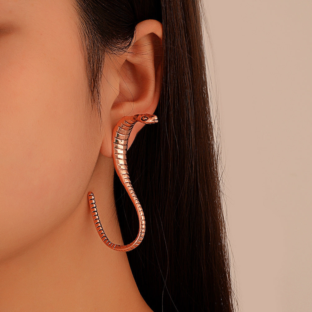 Antique Metal Snake-shaped Earrings In Europe And America